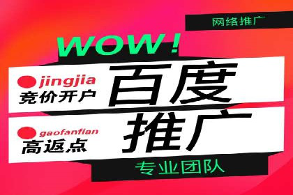 SEM推广竞价托管案例：提升品牌曝光度的秘诀